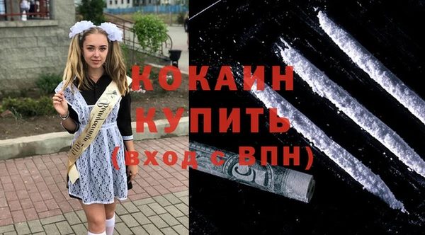 стаф Кулебаки
