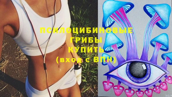 хмурый Зеленокумск
