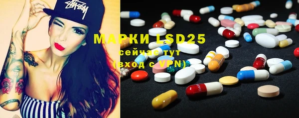 ECSTASY Кукмор