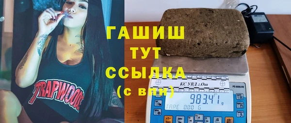 стаф Кулебаки